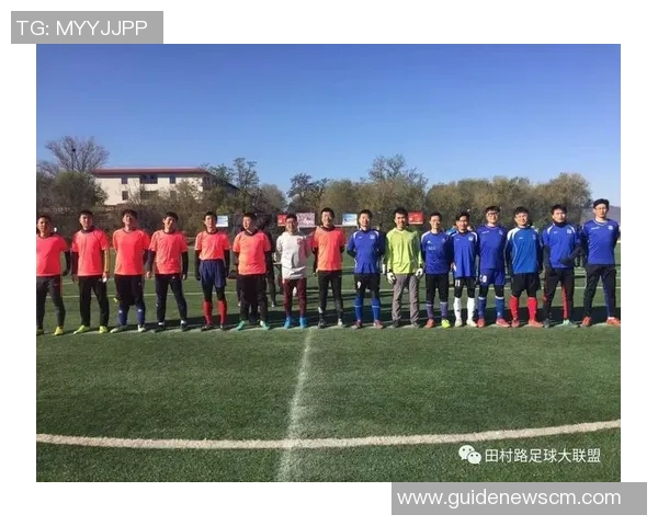 北京乒乓球队杯赛战术分析与表现评估探讨